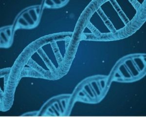DNA a genetické vyšetření